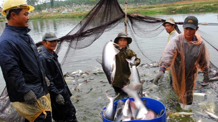 2013 - a booming year for Vietnamese exports to US - 1