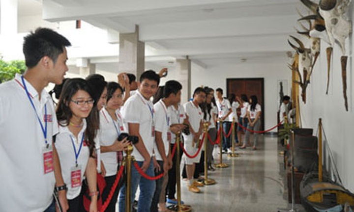 Bright, young Viet kieu to return for Summer Camp 2013 - 1