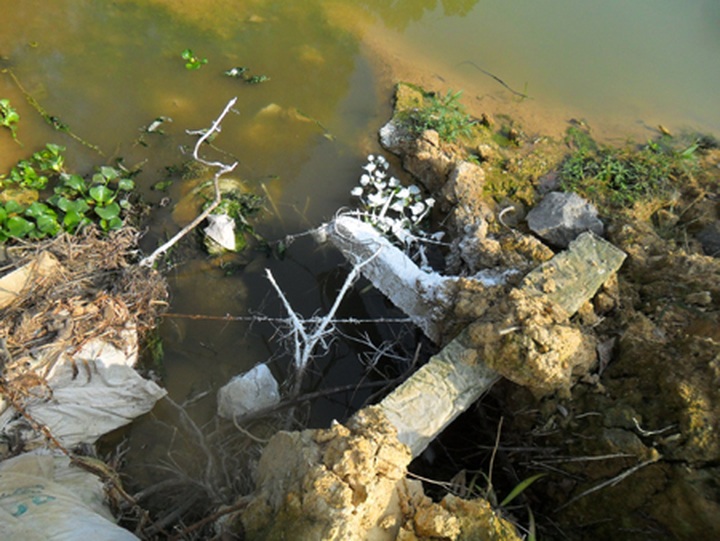 Locals attack pig farm in pollution protest - 2