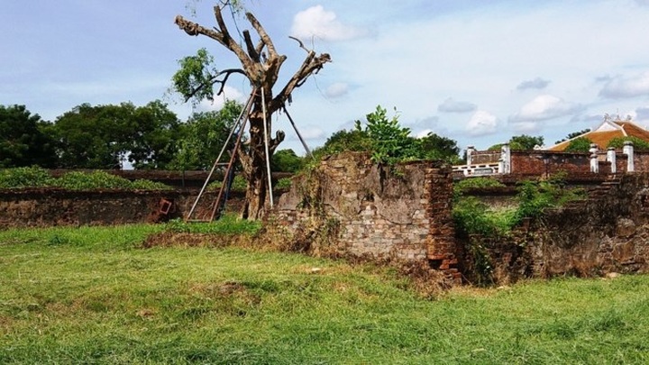 Germany provides EUR143,300 to restore Hue palace - 1