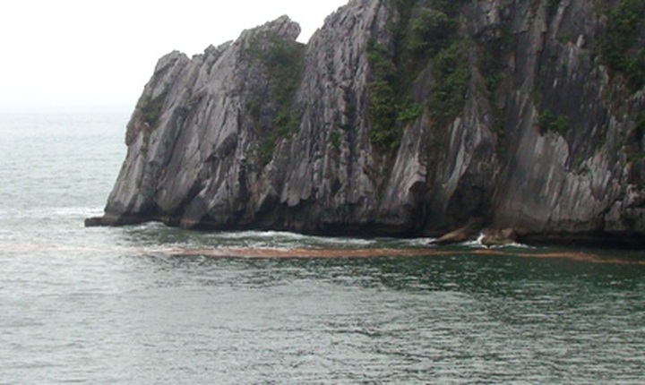 Red tide appears on Haiphong shore - 3