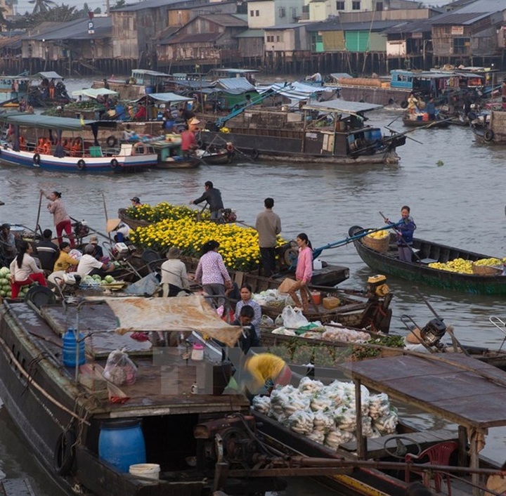 Can Tho preserves Cai Rang Floating Market - 1