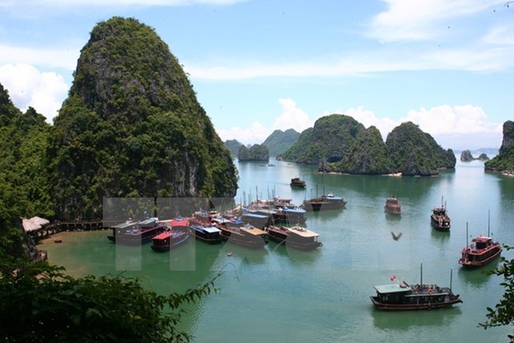 Dossiers of expanded Ha Long Bay compiled to apply for UNESCO title - 1