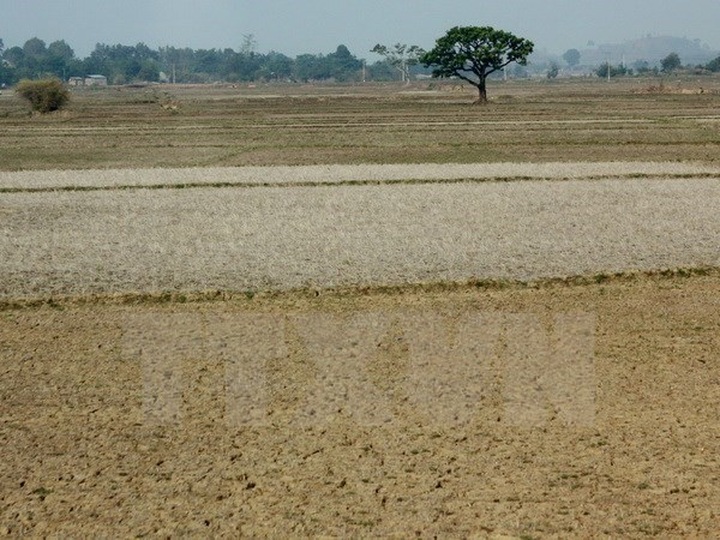 Severe water shortage forecast for central region in 2016 - 1