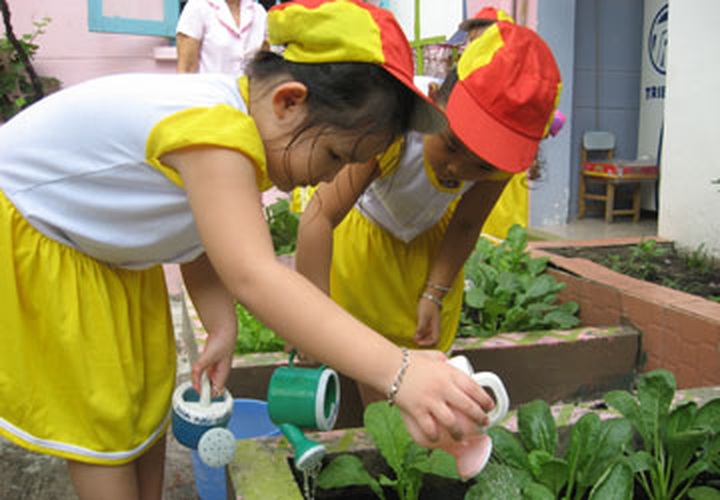 HCM City discourages pre-first grade classes - 1 HCM City discourages pre-first grade classes - 1