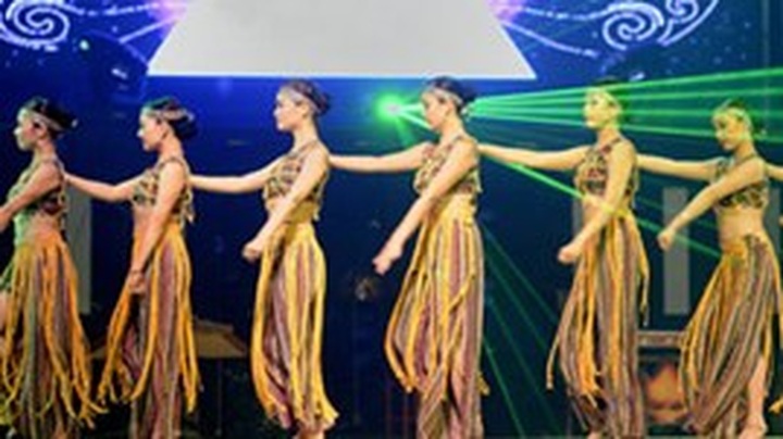 Vietnam Youth Theatre busy with international art cooperation exchanges - 1