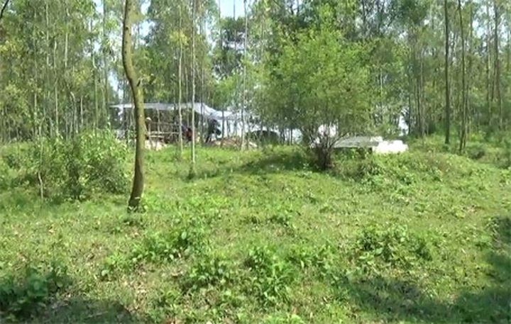 5,000-year-old bones excavated in Ha Tinh - 2