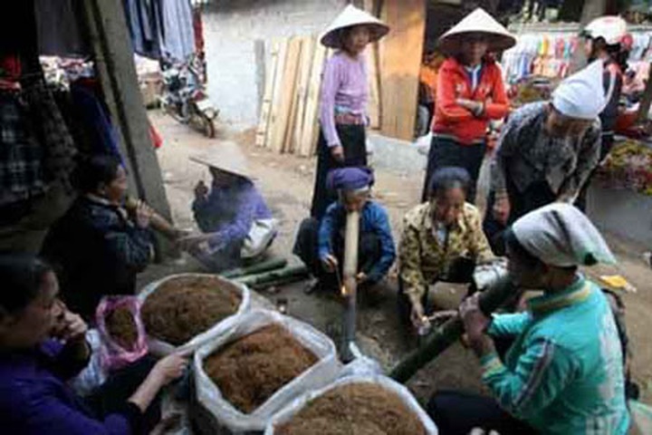 Muong Village notorious for tobacco addiction - 3