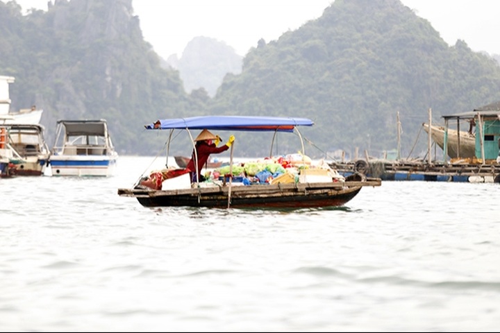 Ha Long Bay has second clean-up day - 1