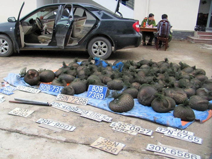 Police busts pangolin smuggler - 1