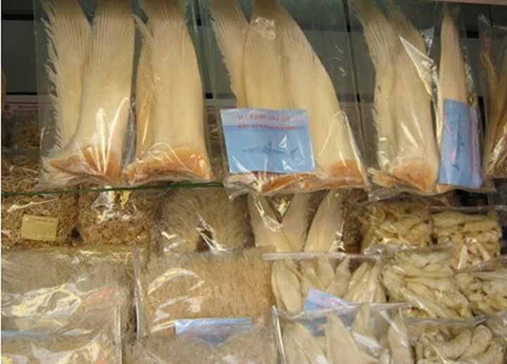 Saigonese pamper their exam-stressed kids with high protein luxury foods - 2