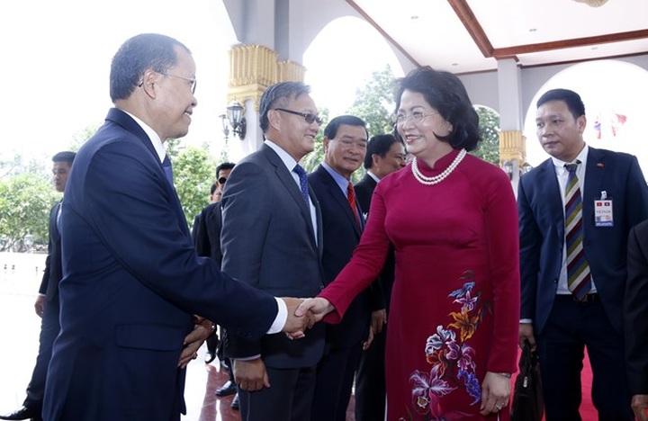 Vietnamese Vice President pays official visit to Laos - 1