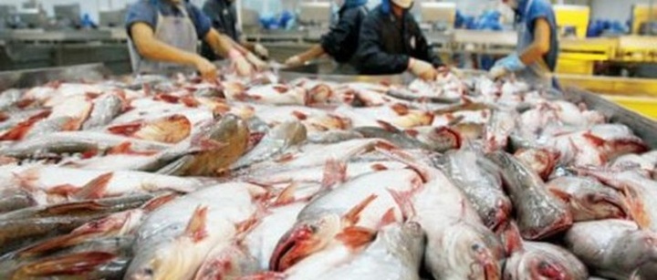 EU surpasses US to become the greatest seafood export market of Vietnam - 1