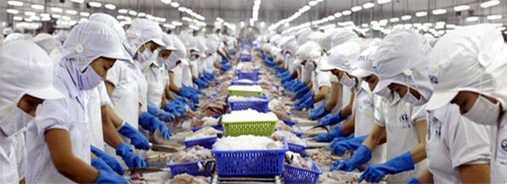 Tra fish subject to high US duties again - 1 Tra fish subject to high US duties again - 1