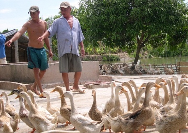 Health officials worried about new bird flu threat - 1