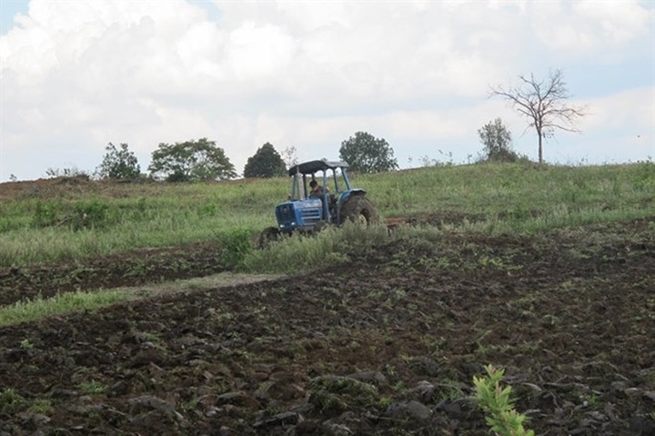 Hundred of hectares of forestland encroached upon in Gia Lai - 1