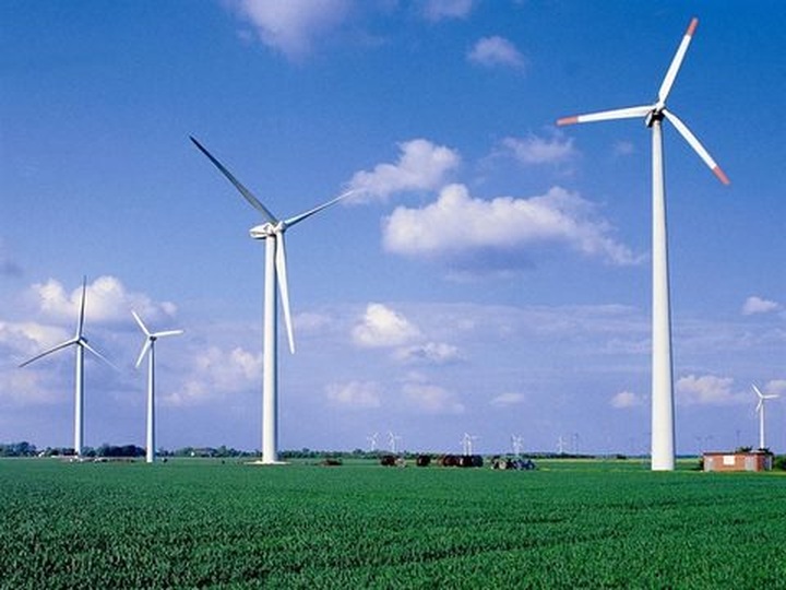 Bac Lieu: Foreign investors eye wind power projects - 1