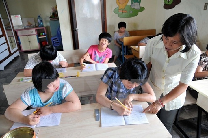 Vietnamese disabled students struggle to access education - 1
