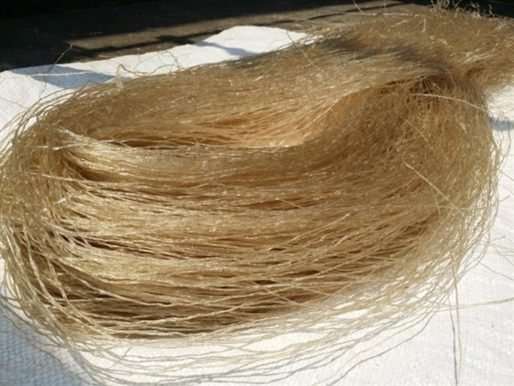 Cellophane noodles are great for New Year - 1