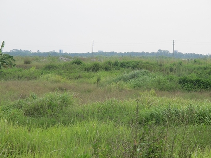 Huge urban area projects abandoned in Me Linh - 7