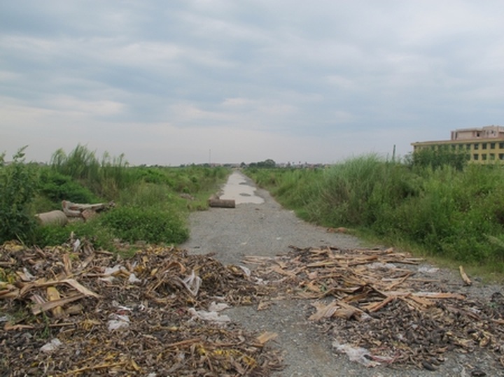 Huge urban area projects abandoned in Me Linh - 8