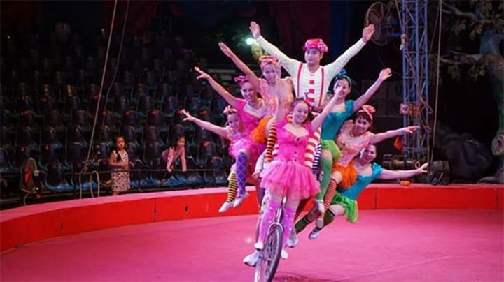 Newly formed HCM City Magic Club opens - 1