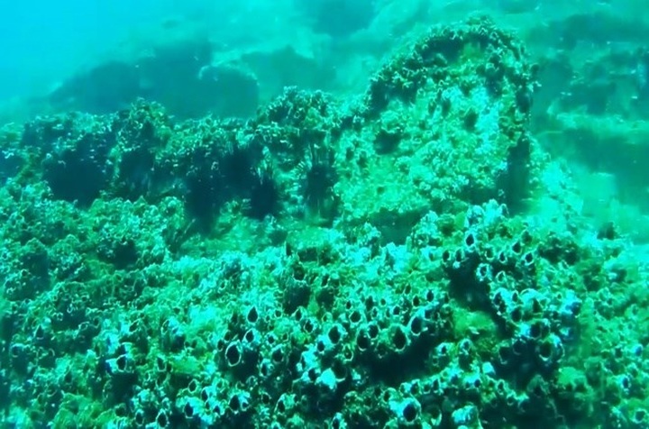 11 million year old volcano in central Vietnam - 5 11 million year old volcano in central Vietnam - 5