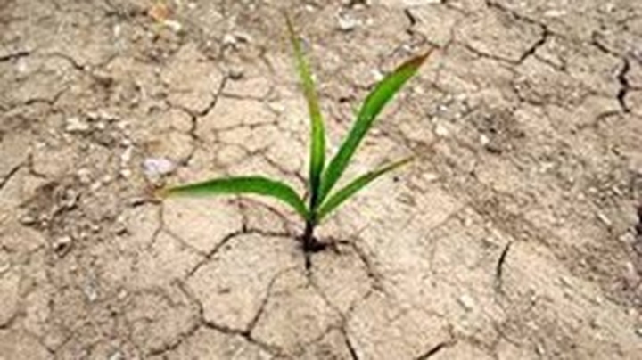 Regional connectivity in response to climate change - 1