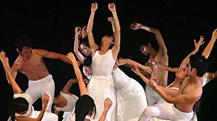 Hanoi to host Europe-Asia contemporary dance - 1