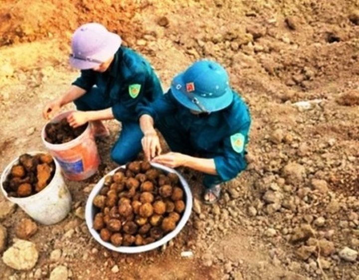 38 cluster bombs found in Quảng Binh - 1
