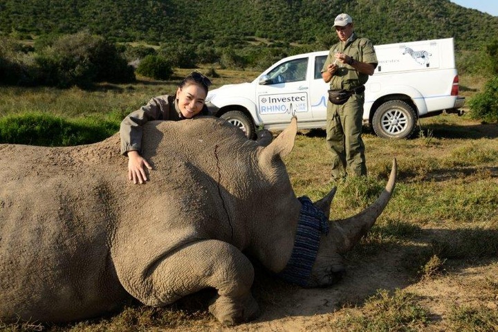 Singer Thu Minh speaks out for Rhinos - 1
