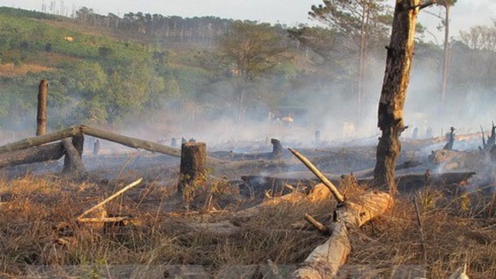 Course helps rangers combat wildlife crime - 1