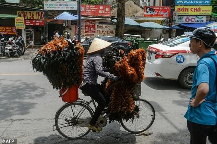 Done and dusted? Vietnam's chicken feather cleaners face stiff competition - 2