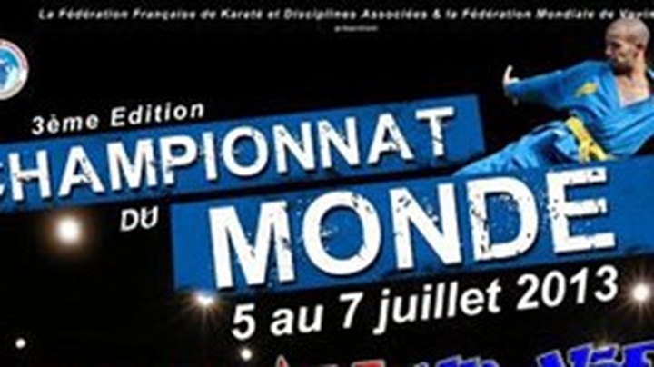 Vietnam to compete in World Vovinam Championships - 1 Vietnam to compete in World Vovinam Championships - 1