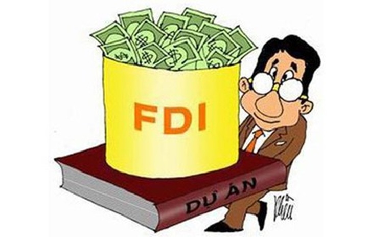 Ministry looks for ways to boost FDI attraction - 1