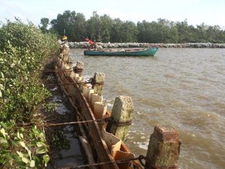 Climate change in Mekong Delta region in spotlight - 1