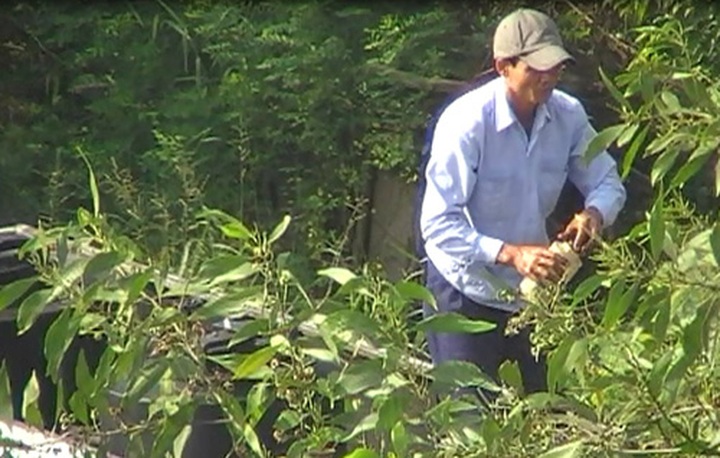 Petrol adulteration scam revealed - 4