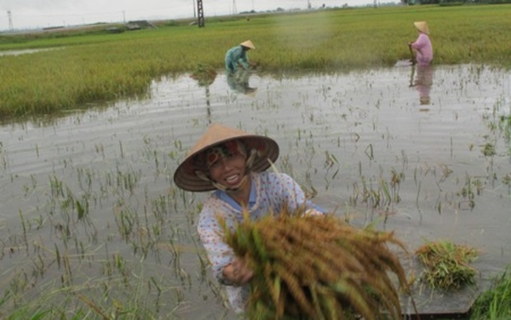 Flood kills five in central region - 8