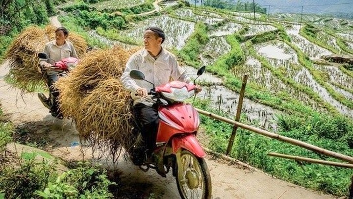 Vietnam’s Hoang Lien Son mountain range listed among best trips for 2019 - 1