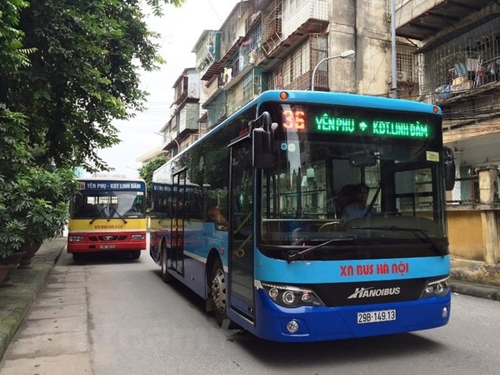 Hanoi to introduce new bus routes - 1