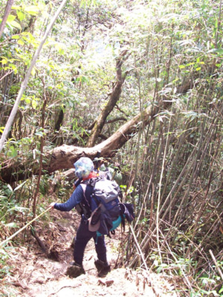 Climber disappears on Fansipan - 1