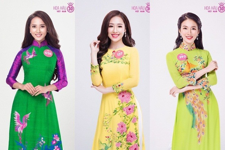 Miss Vietnam purged of cosmetic surgery contestants - 1