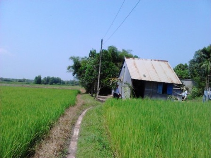 Man takes care of ailing wife for years - 2