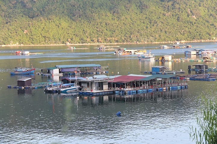 Illegal floating restaurants mar south central coast - 1