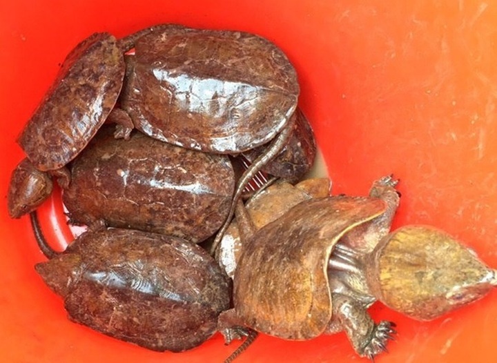 Workshop raises awareness of not using rare wildlife products - 1