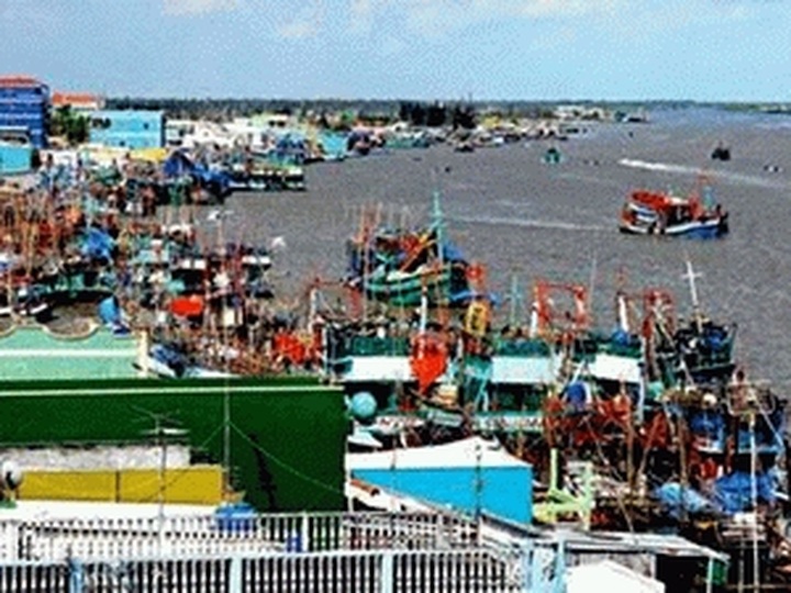 Thousands of fishermen head to sea during Tet - 1