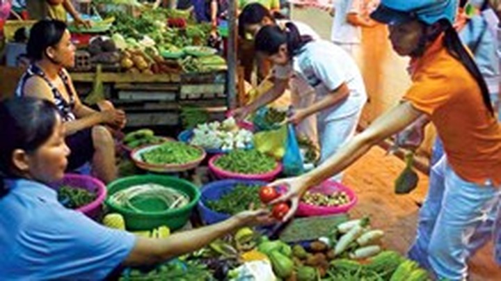 Hanoi and HCM City CPI down in April - 1
