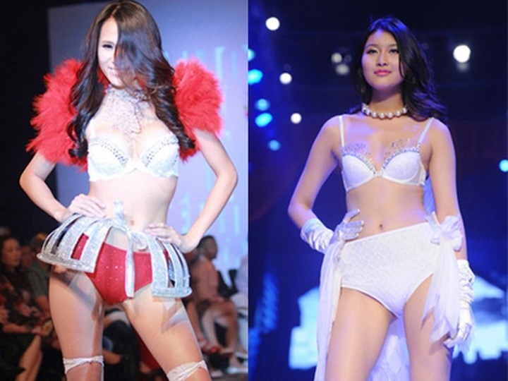 Models face fines for unlicensed lingerie performance - 1