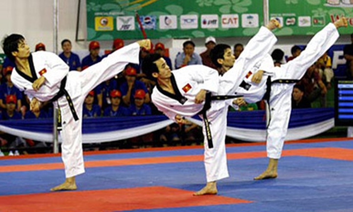 Vietnam hosts numerous int’l sport events in 2012 - 1
