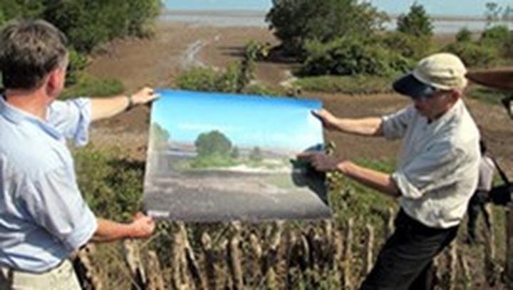 Germany aids forest protection project in Soc Trang - 1